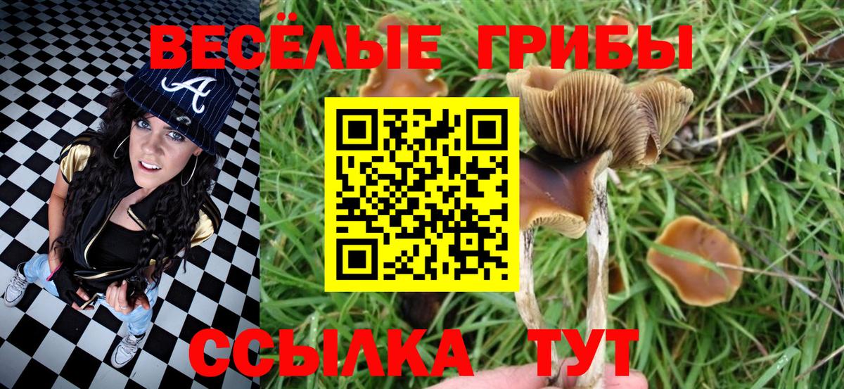 Псилоцибиновые грибы прущие грибы  Вход с VPN  купить   Заводоуковск 